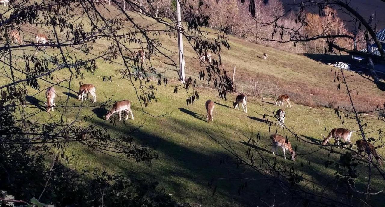 B&B Marcantonio Country House Sogliano al Rubicone Kültér fotó