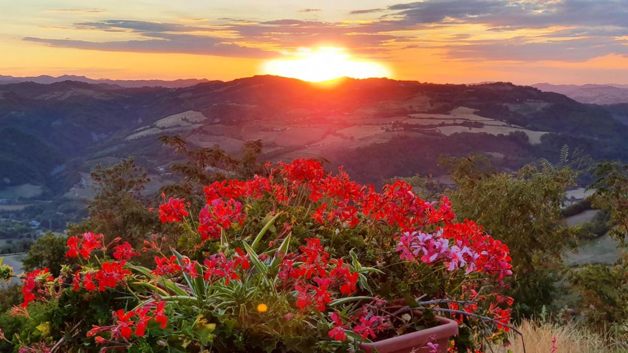 B&B Marcantonio Country House Sogliano al Rubicone Kültér fotó
